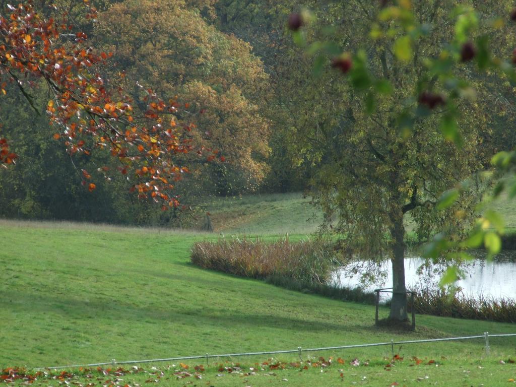 Woodlands Bed & Breakfast Barnt Green Eksteriør bilde